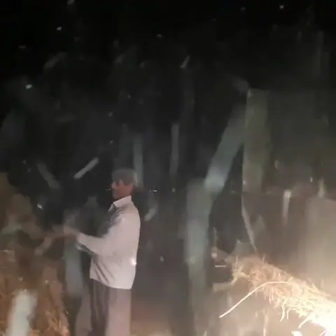 🌾
آقا مصطفی دوستداشتنی 
و دوستان در حال خرمنکوبی 
فصل،
 فصل خیش و فصل گندم است
