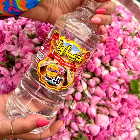 .

🌸گلاب اعلاء یکی از محصولات شاهکار و خوش عطر دیاوا🌸
.
@diava.boomgardi 🌸🍃
