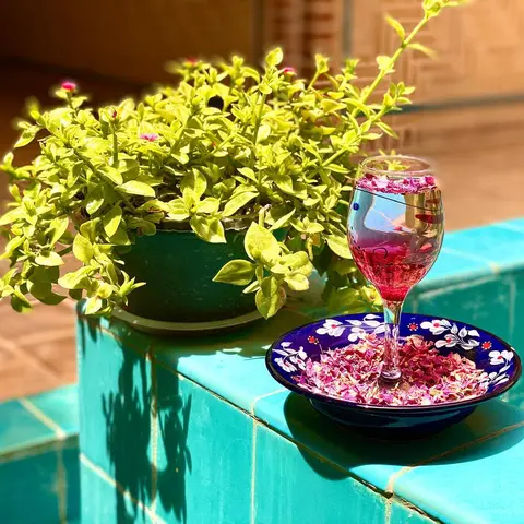 🍹

گل سرخ مظهر زیبایی و محبت است. این گل را بیشتر به‌خاطر زیبایی، عطر و بوی بی‌
