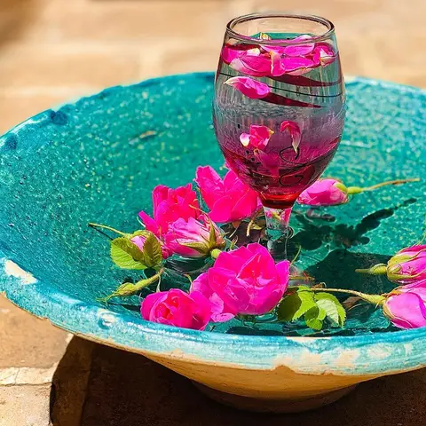 🍹

شربت خوش عطر و طعم گل سرخ 🌸
معمولا در فصل گرم سال استفاده می‌شود و به هیدرا