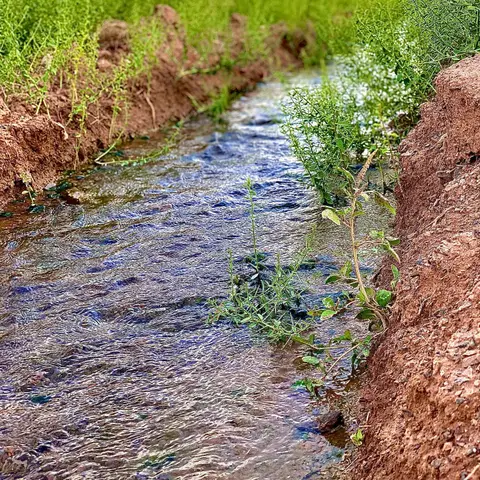 🌱

لحظه های زندگی

مثل چشمه مثل رود

گاه می جوشد ز سنگ

گاه می خواند سرود

🌱ده