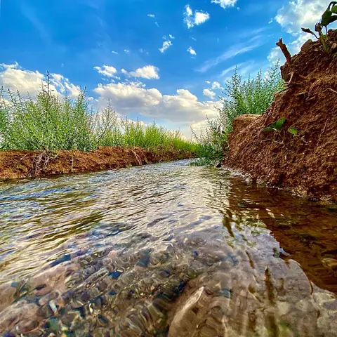 🌱

از صدای گذر آب چنان می فهمم

تندتر از آب روان عمر روان می گذرد

زندگی را نفس