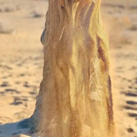 دیاوا