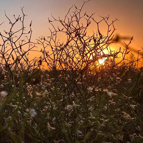 🏜

زندگی ذره کاهیست ، که کوهش کردیم
.
زندگی نام نکویی ست که خارش کردیم 

زندگی 