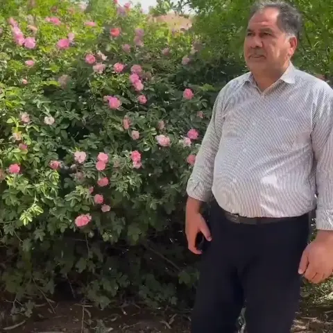 🌸🍃

گفتگویی جناب آقای محمدی مدیر اقامتگاه بومگردی دیاوا با سرکار خانم دکتر نصی