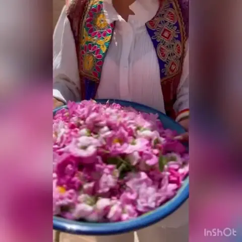 🌸🌸🌸
.
فصل بهار و گلاب گیری 
.
تجربه بازدید از گلاب گیری 
در یک فضای سنتی 
با 