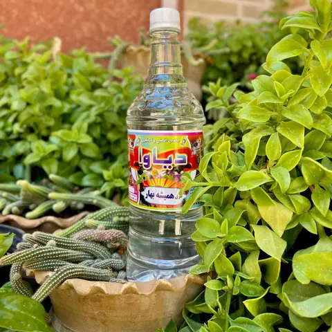 🍃
عرق گل همیشه بهار ارگانیک دیاوا؛
.

عرق گل همیشه بهار یا کالاندولا 
.
طبیعت گ