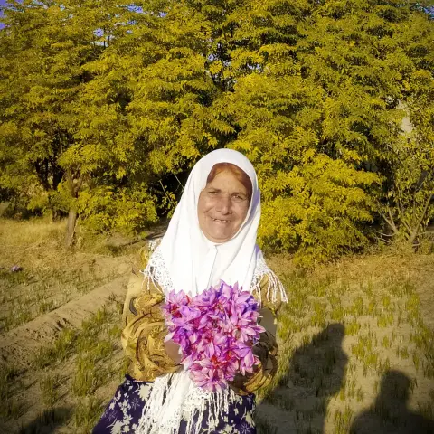 فصل چیدن زعفران
📍 روستای ده آباد
.

.

.

مجتمع گردشگری دیاوا در هر فصل،امکان د