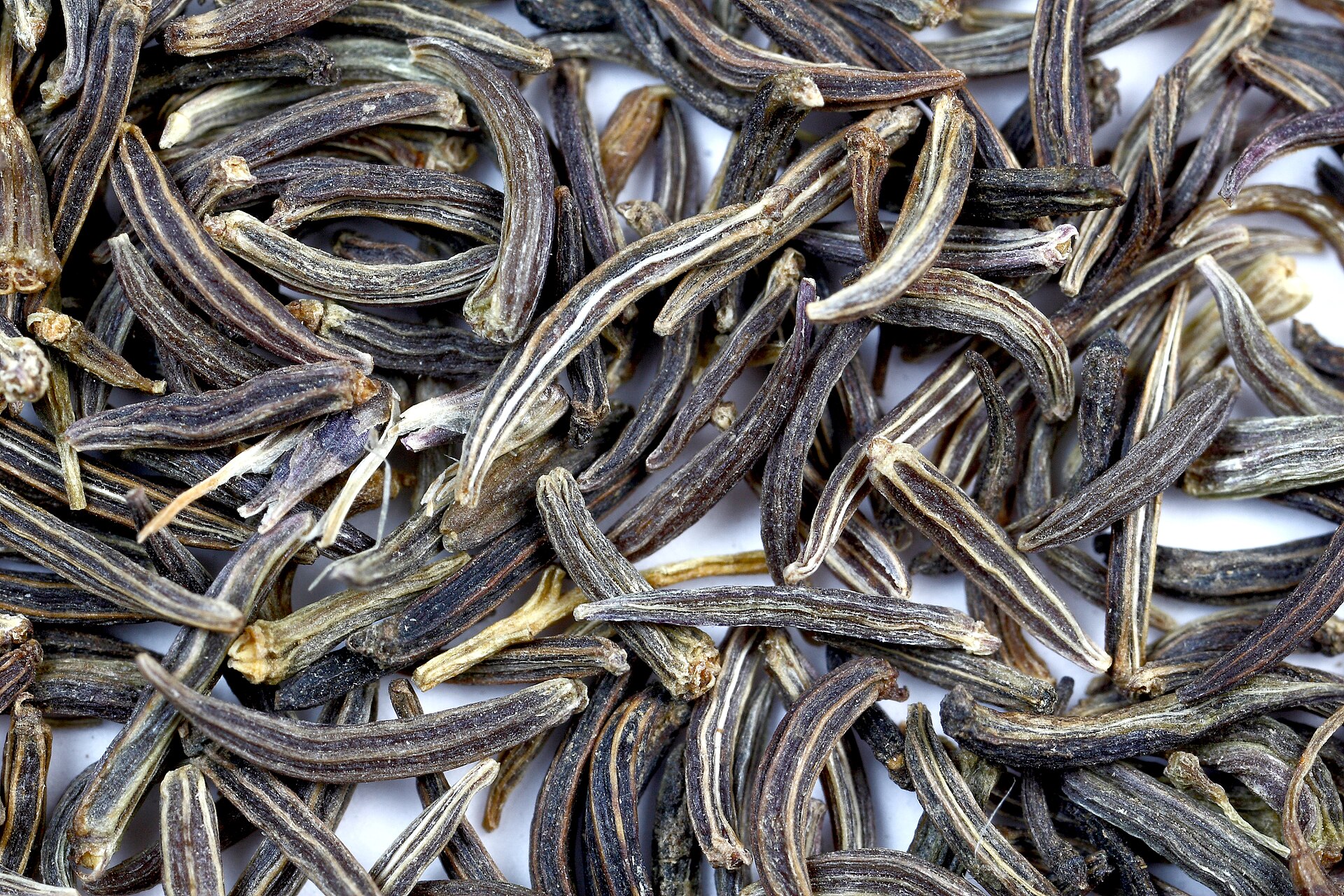 زیرهٔ سیاه (Persian black cumin) — Bunium persicum